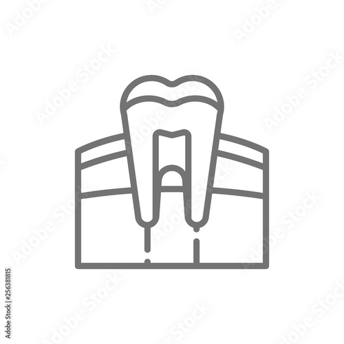 Tooth, gum, dentist, human organ line icon.