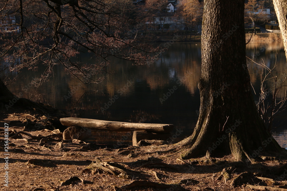 Fototapeta premium wooden bench on lake side Swiss Origlio