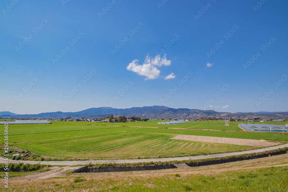 佐賀平野　佐賀県