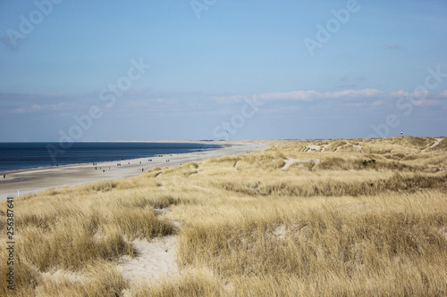 Danish beach on the west coast of Jutland