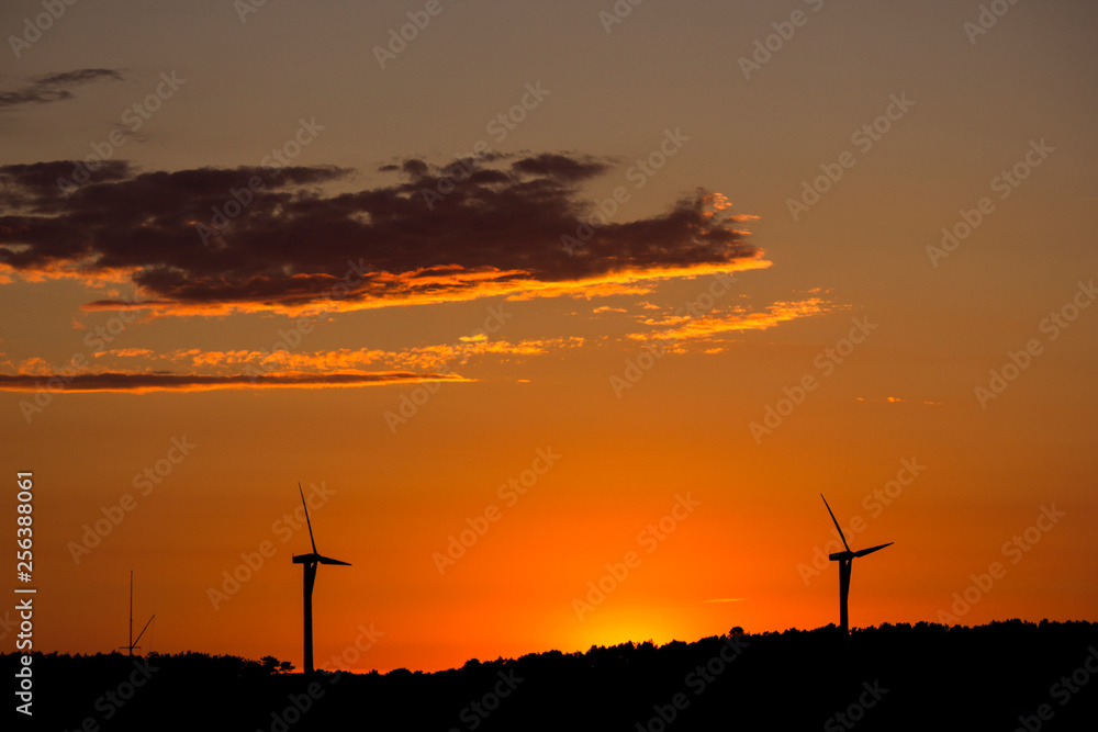 Obraz premium Orange sunset with a silhouette background
