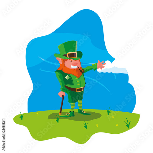 saint patrick lemprechaun with cane in the field photo