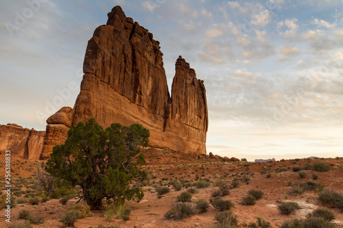 Horizontal photo of tree with Tower of Babel rock formation in the background in Arches National Park, Utah