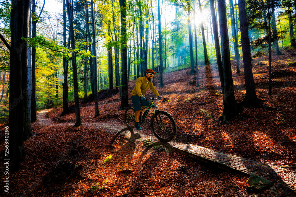 Fotografie Mountain biker riding on bike in spring mountains forest landscape