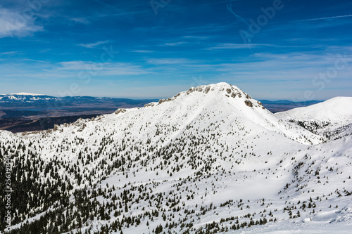 Siwy Wierch (Sivy vrch) - a peak located in Slovakia, in the main ridge of the Western Tatras. photo