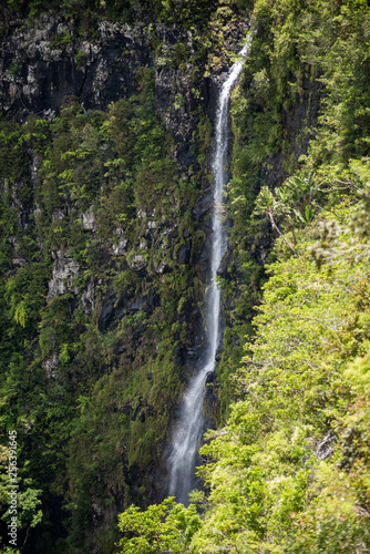 Tall waterfall in tropical jungle