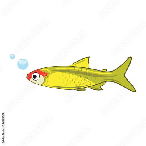 Yellow, green fish vector
