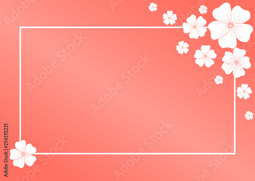 White frame and beautiful flowers with coral background. Invitation cards. Vector illustration.