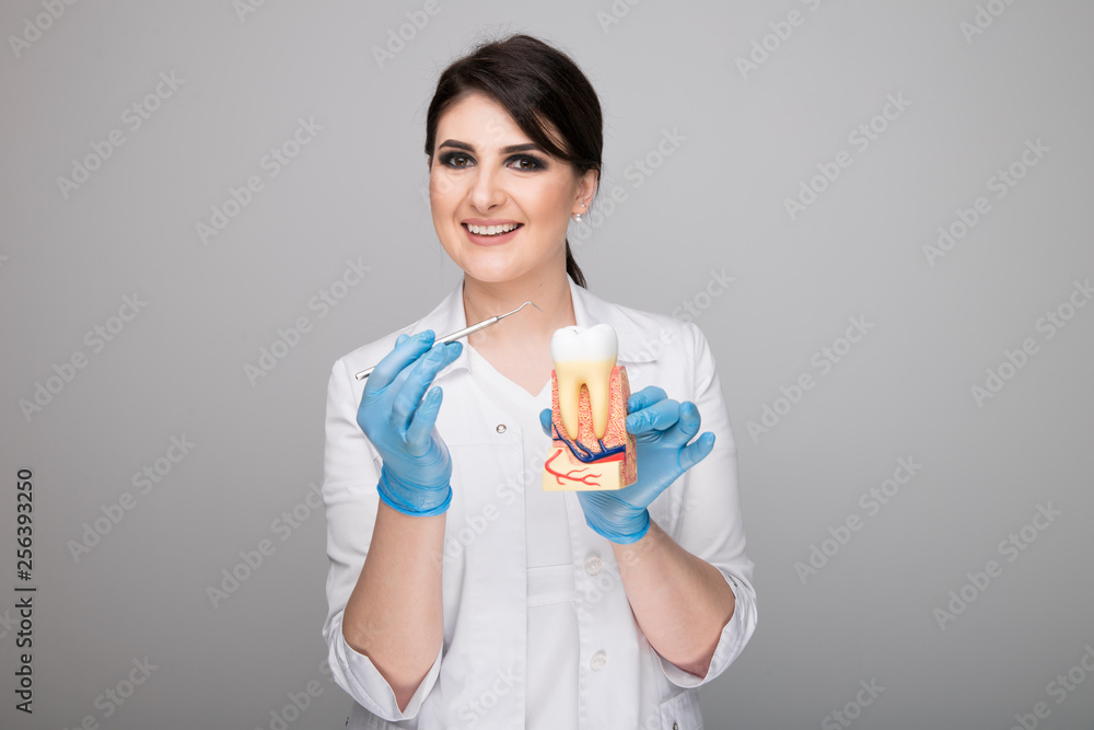 Female dentist with tooth model and dental staff Female dentist with tooth model and dental staff