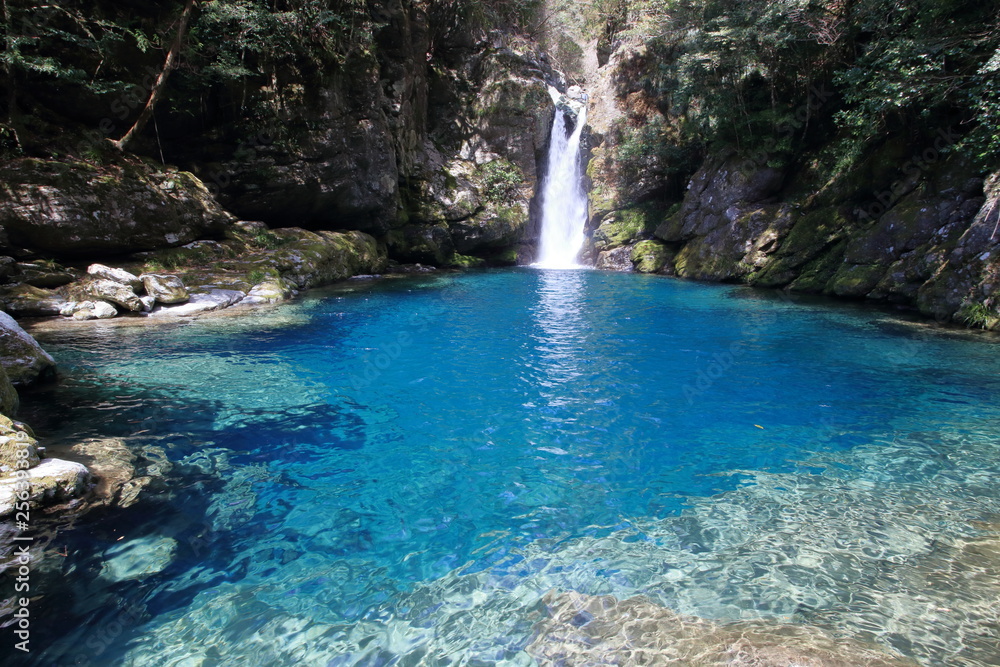 Naklejka premium Tajemniczy basen wodospadu Nikobuchi (Inomachi, prefektura Kochi)