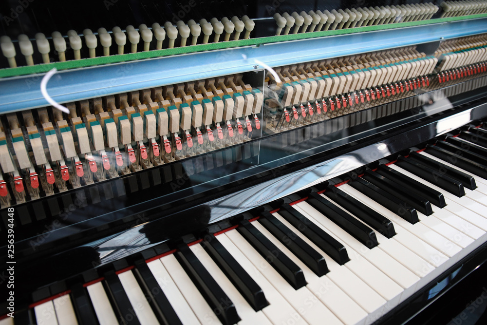 Colourful Piano Colourful Piano