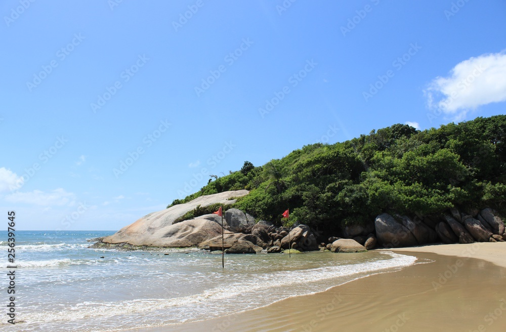 Obraz premium Praia tropical, praia de Canto Grande, Mariscal, cidade de Bombinhas, estado de Santa Catarina, Brasil 