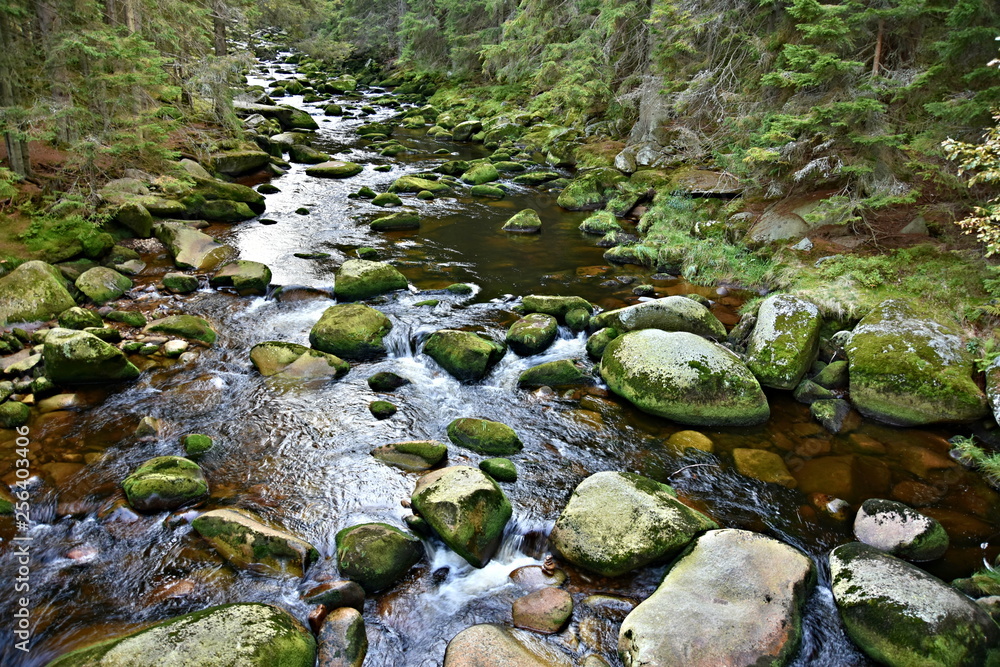 Sumava National Park, nature of the Czech Republic, picture from summer Sumava National Park, nature of the Czech Republic, picture from summer