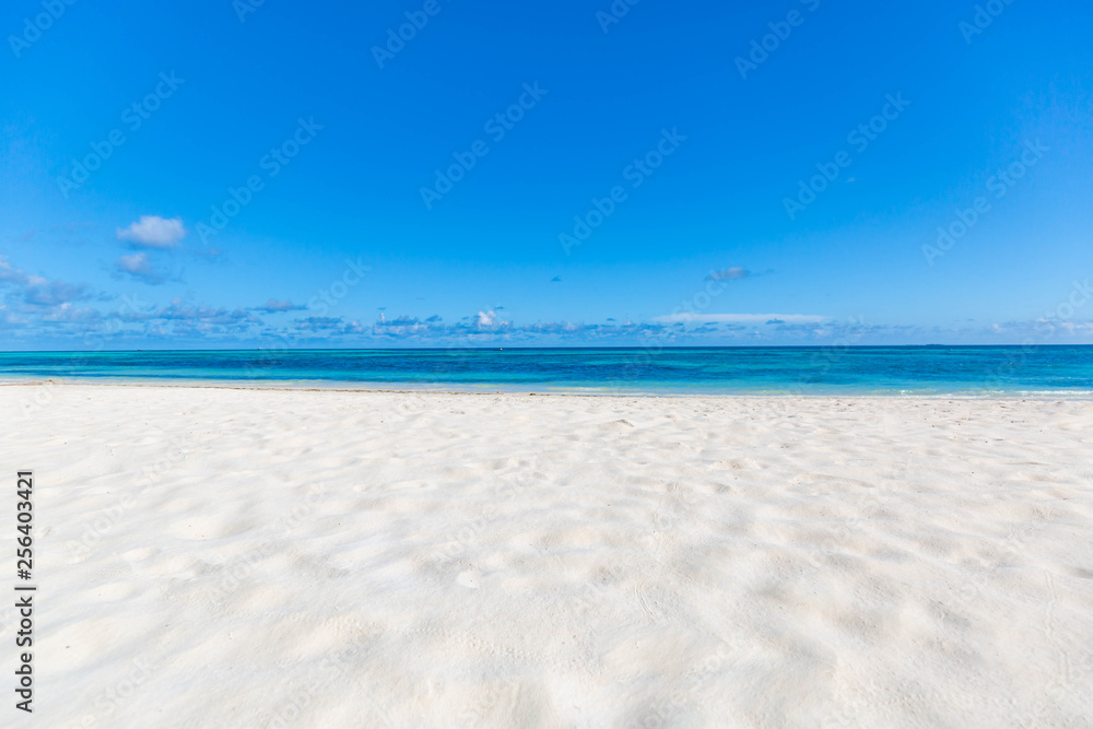 Empty sea and beach background with copy space. Idyllic tropical landscape