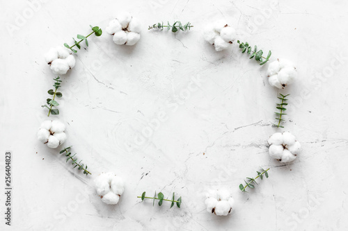 Flowers frame with fresh eucalyptus branches and cotton on white background top view copy space