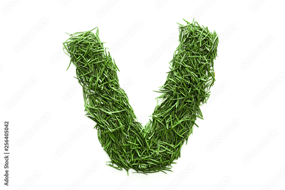 Letter V, alphabet made of green grass, collected from Christmas tree branches, green fir. Isolated on white background. Concept: ABC, design, logo, title, text, word Letter V, alphabet made of green grass, collected from Christmas tree branches, green fir. Isolated on white background. Concept: ABC, design, logo, title, text, word