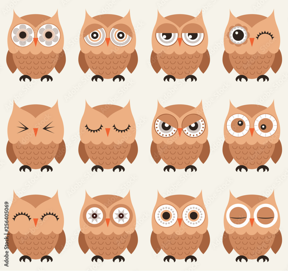 set of emoticons of owl birds in cartoon style