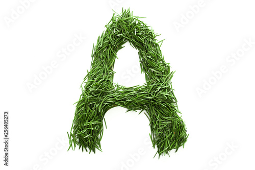 Letter A, alphabet made of green grass. Isolated on white background. Concept: ABC, design, logo, title, text, word