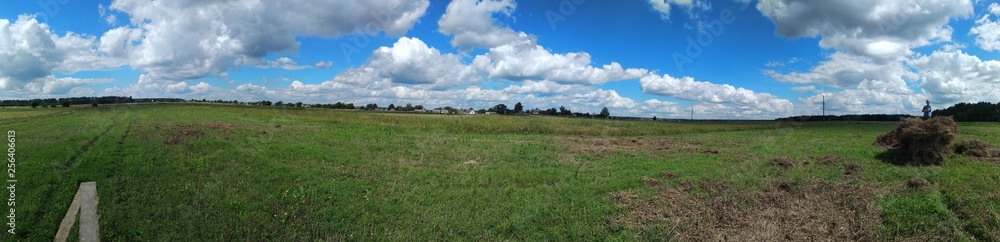 landscape with green field and blue sky