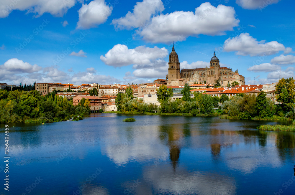 Salamanca Cathedral is a late Gothic and Baroque catedral in Salamanca city