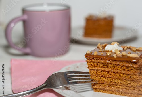 Fototapeta Naklejka Na Ścianę i Meble -  Fresh chocolate creamy cake with nuts