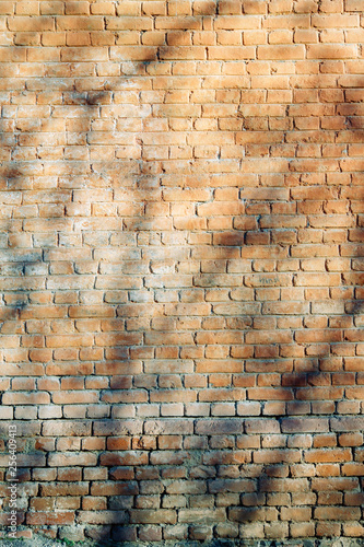 Texture of old masonry walls in Georgia. Sunlight and shadows from the leaves on the bricks.
