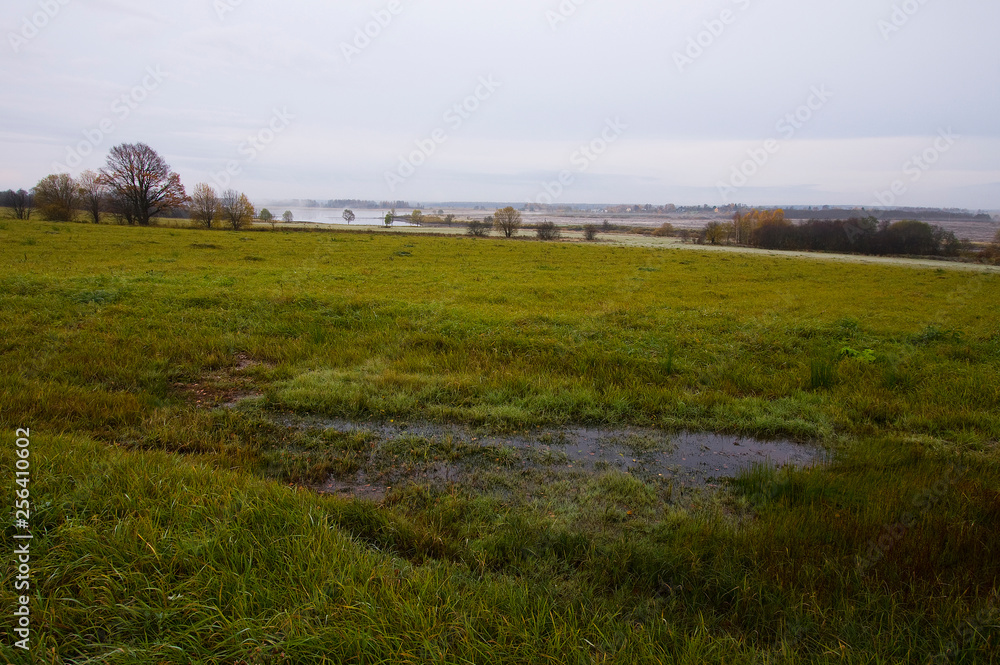 Obraz premium landscape with wheat field and blue sky