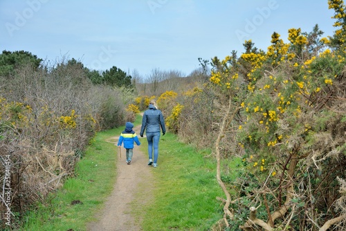 Une famille qui marche sur un sentier entouré de genêts en Bretagne
