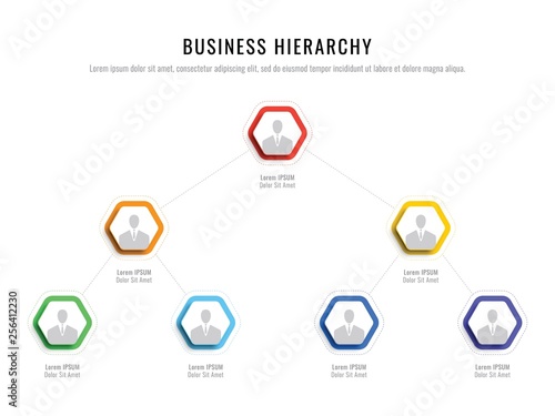 business hierarchy hexagonal infographic elements. organizational structure of the company. multilevel business management structure