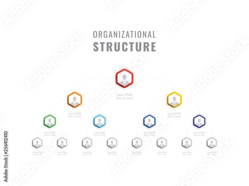 organizational structure of the company. business hierarchy hexagonal infographic elements. multilevel business management structure