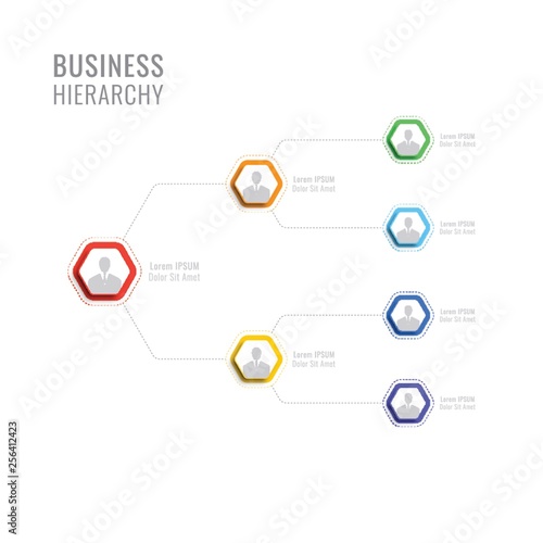 business hierarchy hexagonal infographic elements. organizational structure of the company. multilevel business management structure