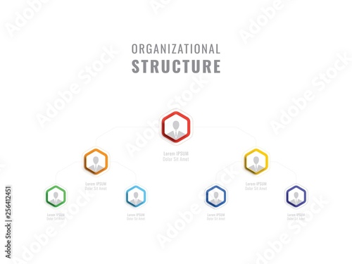 organizational structure of the company. business hierarchy hexagonal infographic elements. multilevel business management structure