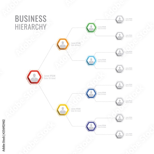 business hierarchy hexagonal infographic elements. organizational structure of the company. multilevel business management structure