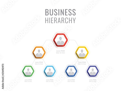 business hierarchy hexagonal infographic elements. organizational structure of the company. multilevel business management structure