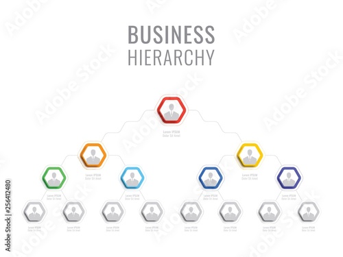 business hierarchy hexagonal infographic elements. organizational structure of the company. multilevel business management structure