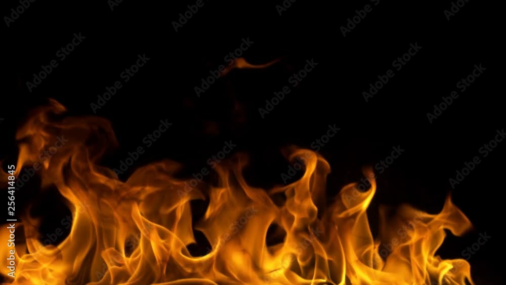 Organic Fire Files for any NLE Organic Fire Files for any NLE