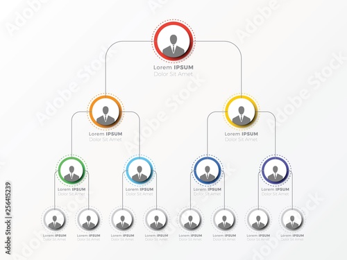 organizational structure of the company. business hierarchy infographic elements. multi-level business management structure