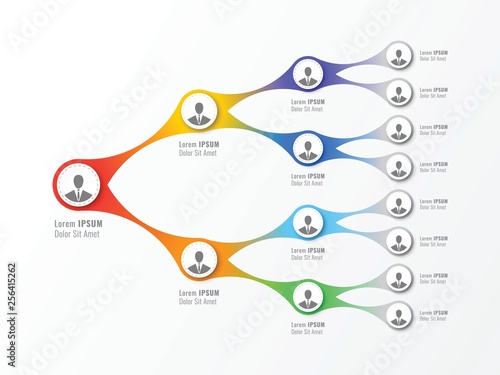 organizational structure of the company. business hierarchy infographic elements. multi-level business management structure
