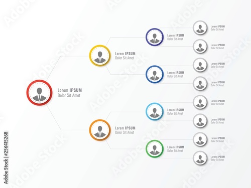 organizational structure of the company. business hierarchy round infographic elements. multi-level business management structure