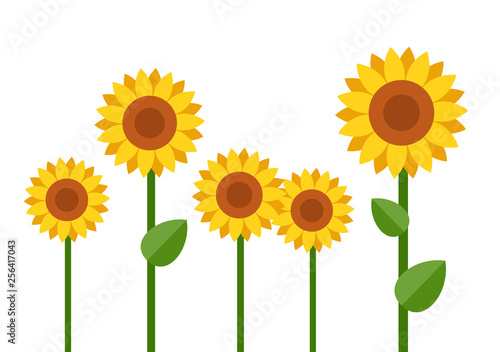 Blooming sunflowers vector flat isolated
