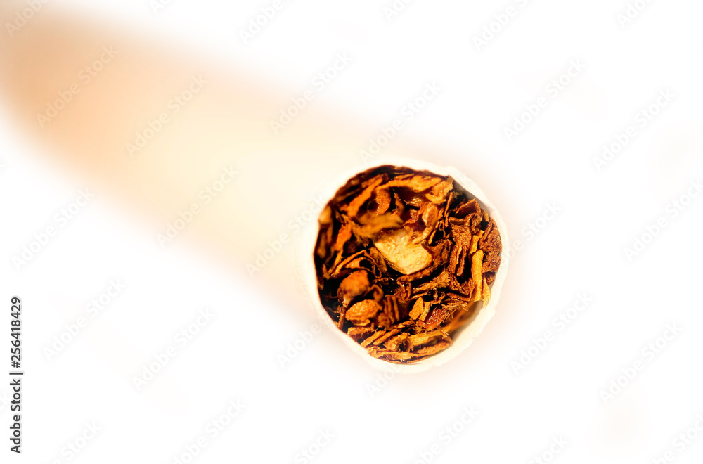 cigarette tobacco detail close up, concept stop smoking cigarette tobacco detail close up, concept stop smoking