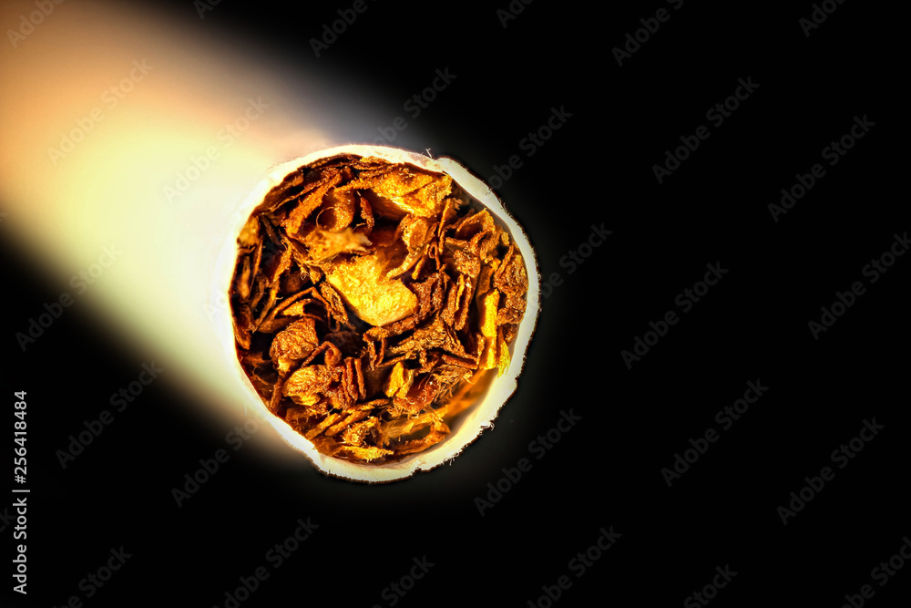 cigarette tobacco detail close up, concept stop smoking cigarette tobacco detail close up, concept stop smoking