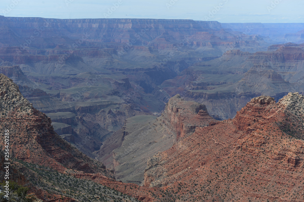 Grand Canyon view