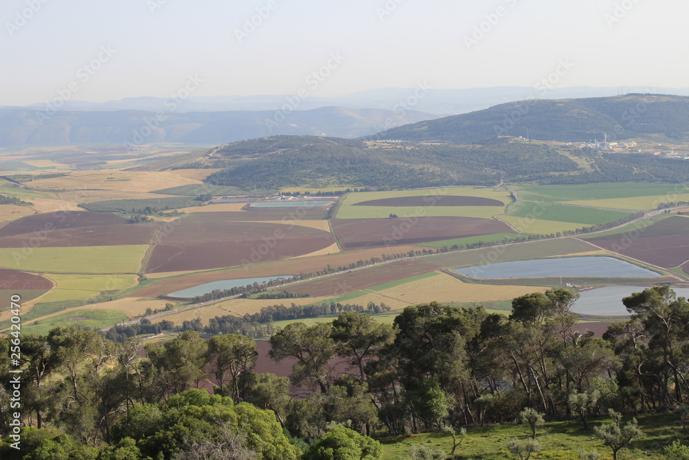 Mount Tabor in the Lower Galilee region of Northern Israel, Jezreel Valley, Afula, Tiberias, Israel. The Church of the Transfiguration and the Franciscan Monastery, nature, details and surroundings