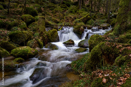 Wasserfall mit Steinen voller Moos