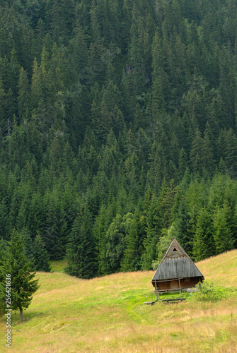 Polish mountains with small hut for animals