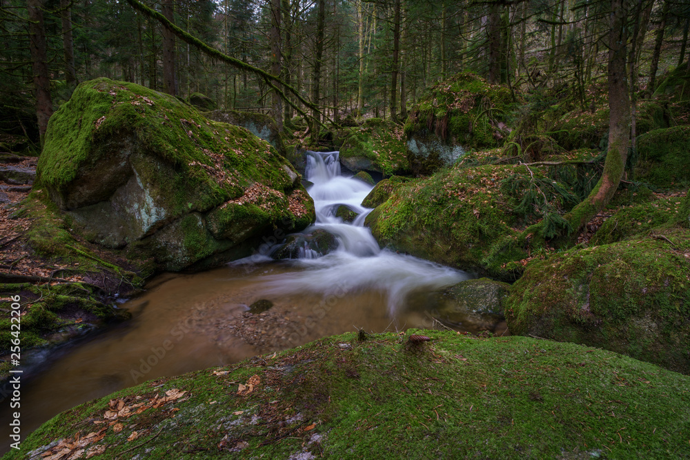 Fototapeta premium Wasserfall mit Steinen voller Moos