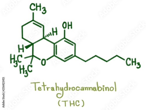 Structure of delta-9-Tetrahydrocannabinol (THC). Nine THC-type cannabinoids with C1To C5 side chain isolated form cannabis plant call marijuana.