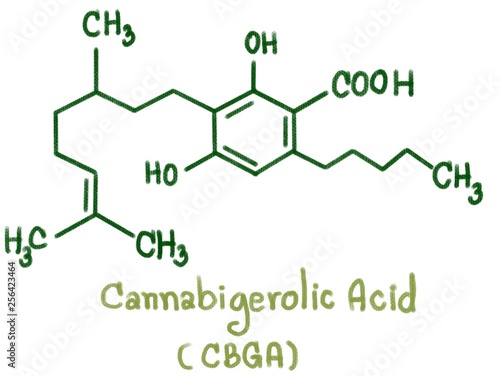 Photos Cannabigerolic acid (CBGA) is formed in the growing cannabis plant when geranyl pyrophosphate combines with olivetolic acid
