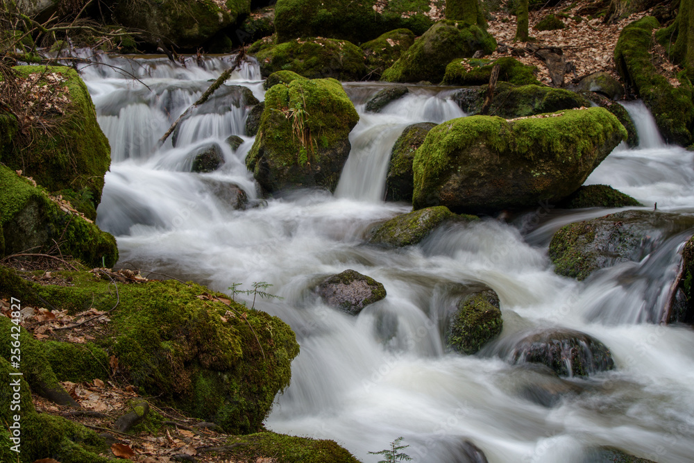 Fototapeta premium Wasserfall mit Steinen voller Moos